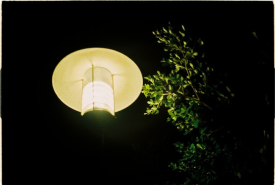  입안에서 떠도는 이름을 만나다 | 인스티즈