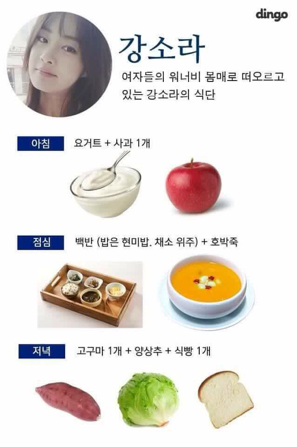 연예인들의 다이어트 식단 | 인스티즈