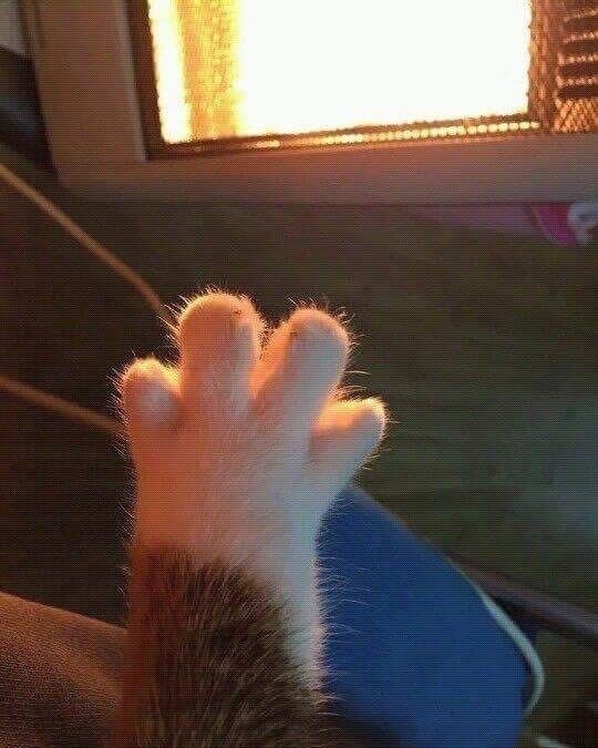 따시다 이미지