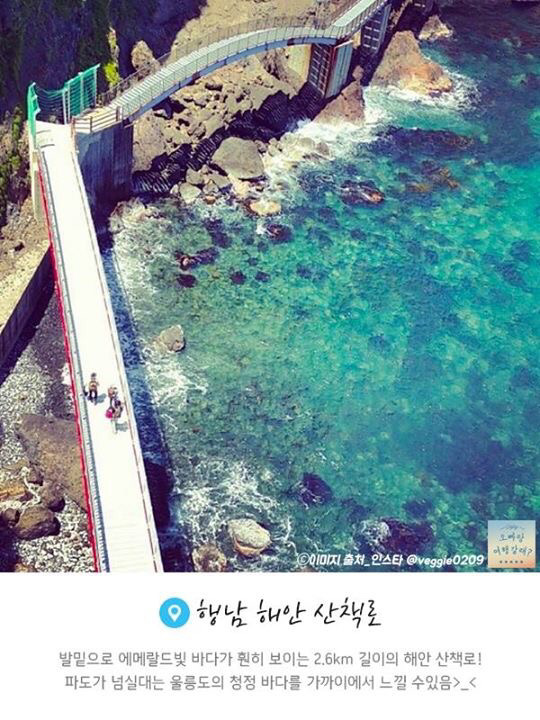 sns=선동과 날조로 승부하자 페이스북 공감.jpg | 인스티즈