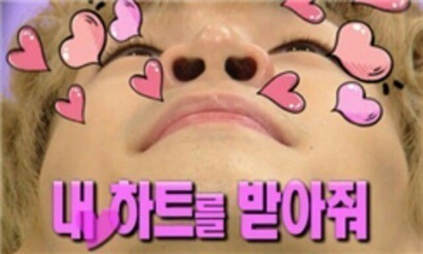 코코들 이미지