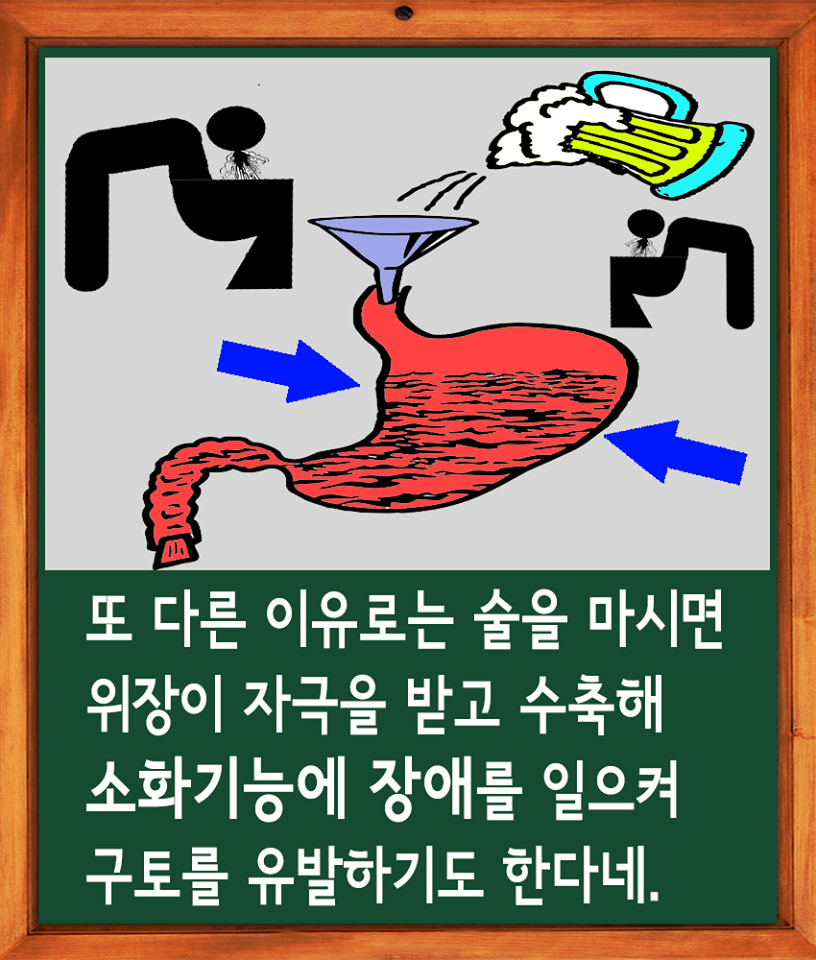 술을 많이 마시면 토하는 이유 jpg | 인스티즈