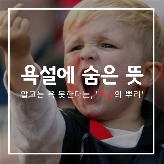  욕설 속에 숨은 어마무시한 비밀 | 인스티즈