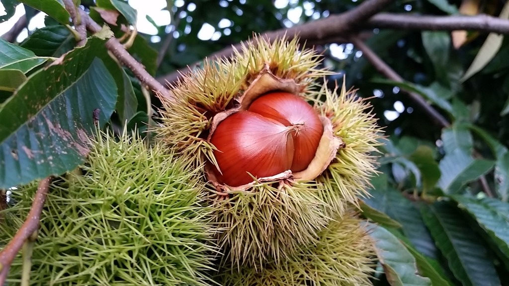 자연카라반 캠핑장 이미지