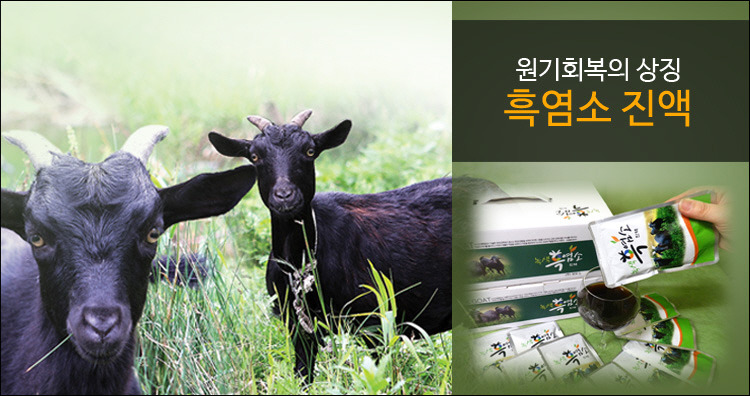 대박흑염소 이미지