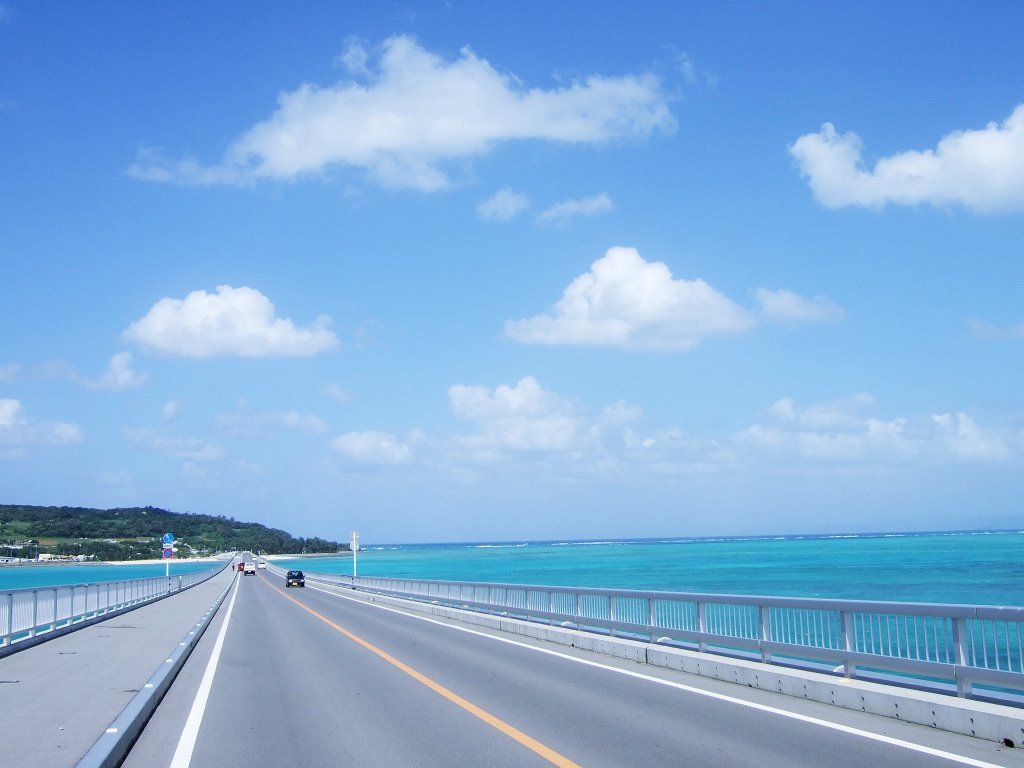 대학생 추천 여행지 오키나와 ㅎㄷㄷ | 인스티즈