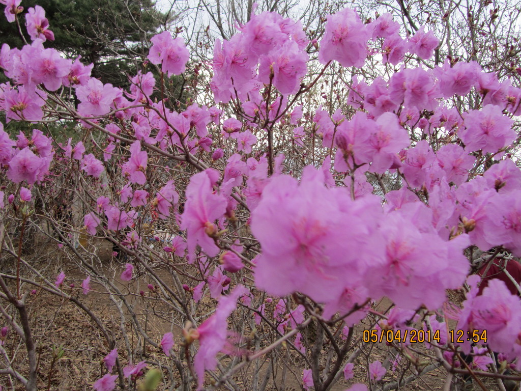 서로좋아 이미지