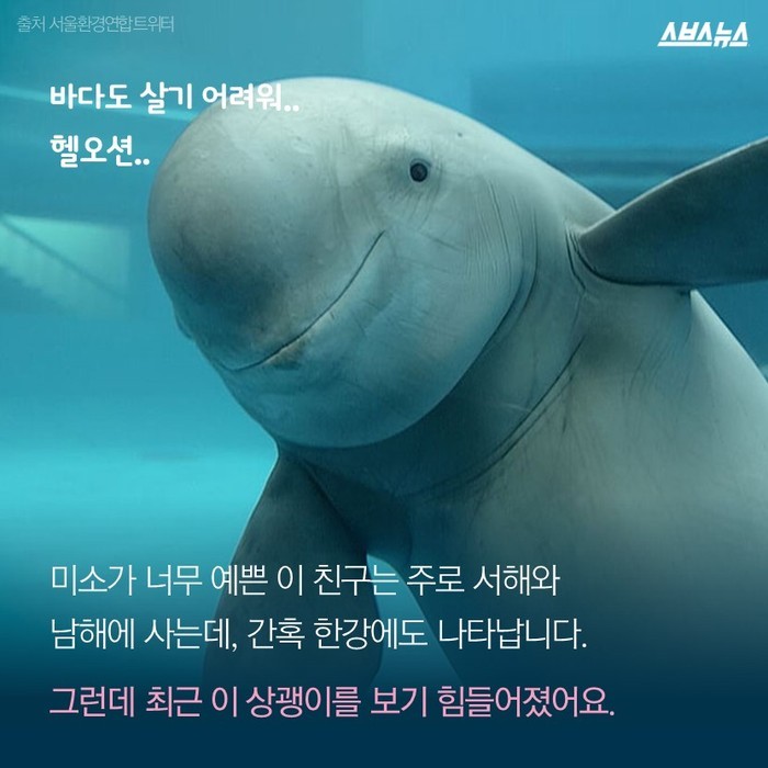  뽀뽀녀의 인생템 | 인스티즈