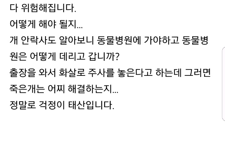 2007년 지식인에 올라왔던 대형견 안락사 고민글.txt | 인스티즈