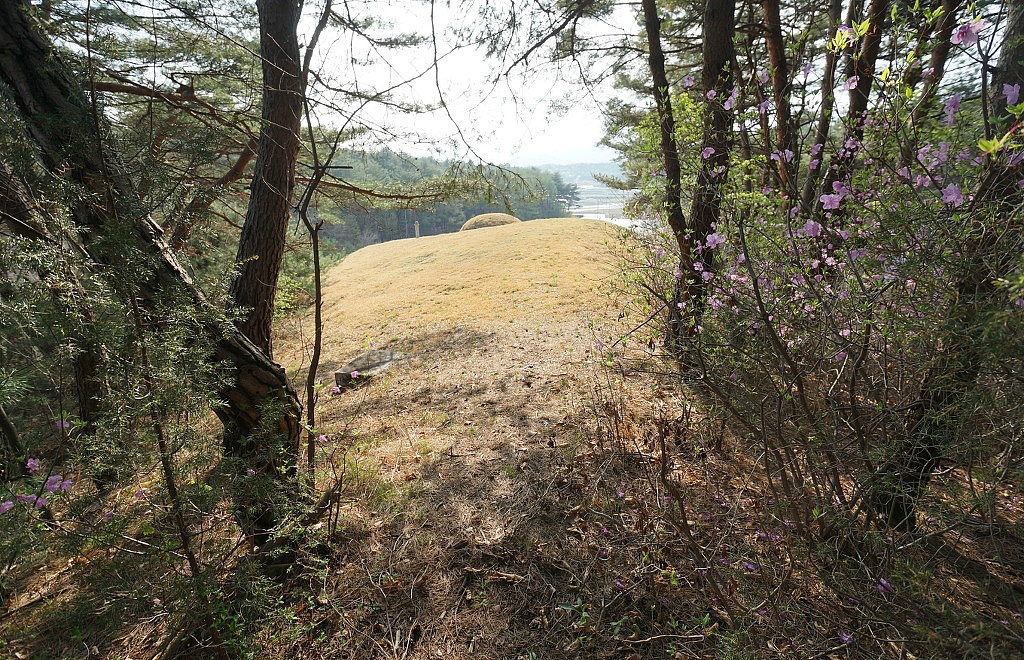 수가요방 이미지