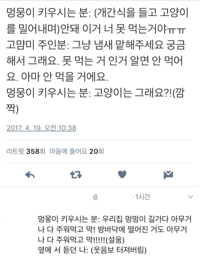 컬쳐쇼크 받은 댕댕이 주인.twt | 인스티즈