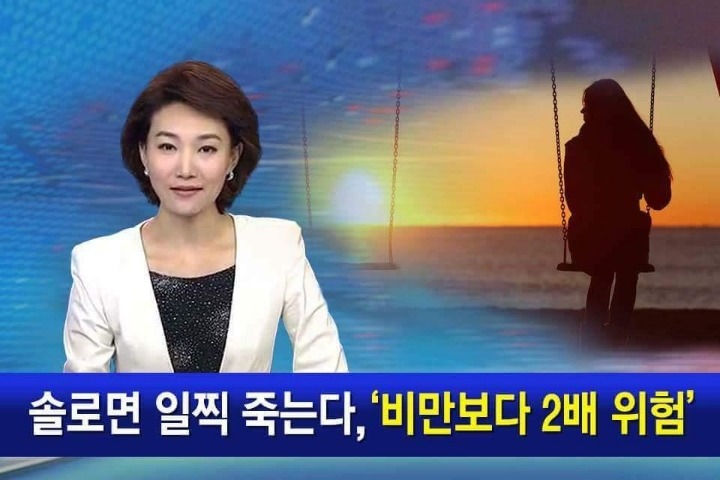 솔로하 이미지