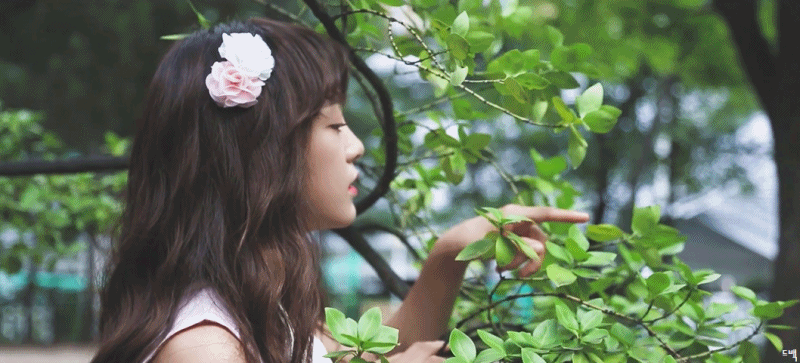 사진찍는데 아주머니들이 이상하게 쳐다봤다는 세정이.gif | 인스티즈