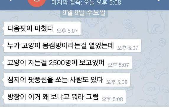 흔한 한국의 몸캠방 취향.jpg | 인스티즈