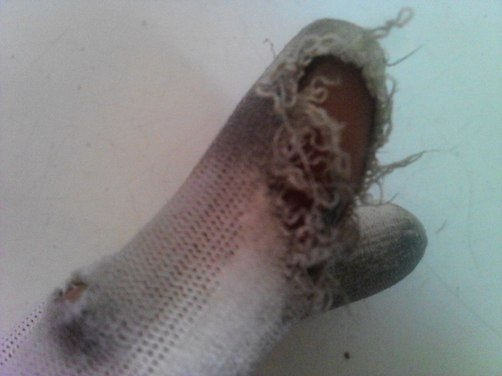 청노방 이미지