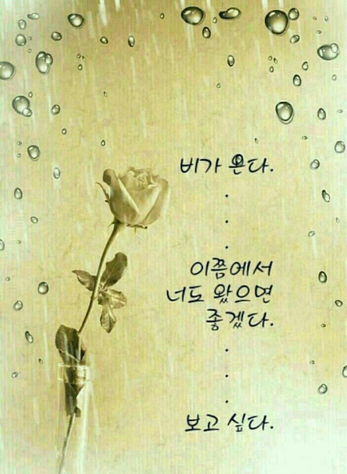 여울 이미지