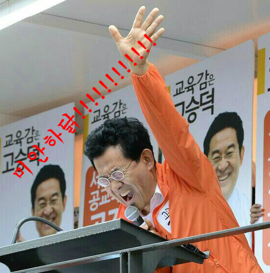 닭이닭 이미지
