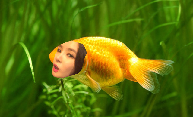 뻐끔뻐끔 이미지