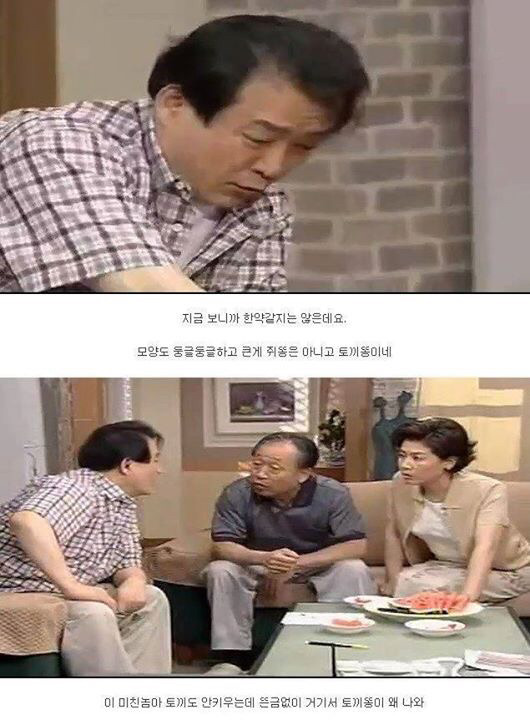 레전드 토끼사건 | 인스티즈