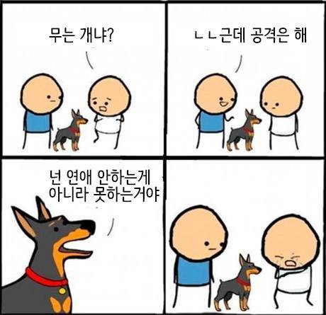  사람을 공격하는개 | 인스티즈