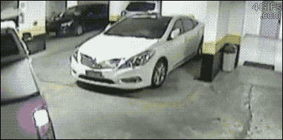 공간이 없네.gif | 인스티즈