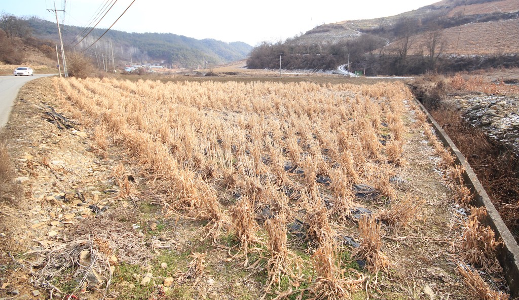충주댐주유소 이미지