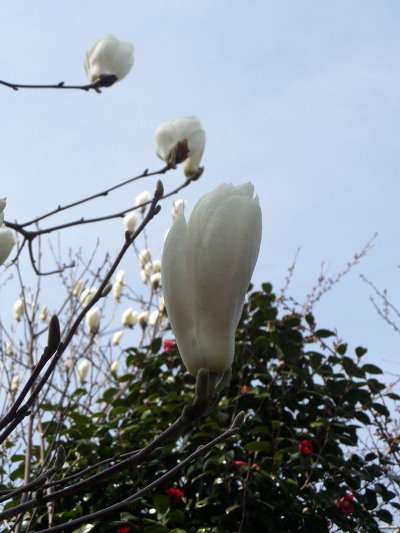 227EE93B552892270AD480