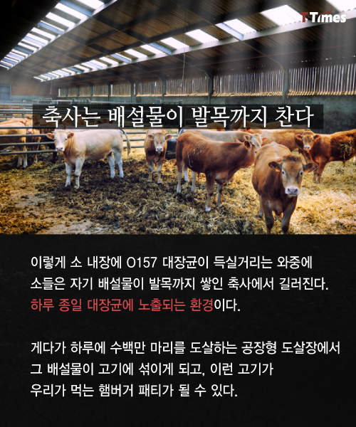 형제축산 이미지