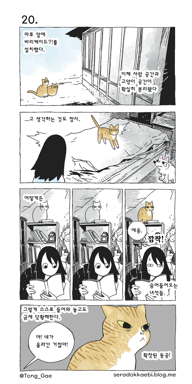 고양이 여덟마리와 살았다 17~21 | 인스티즈