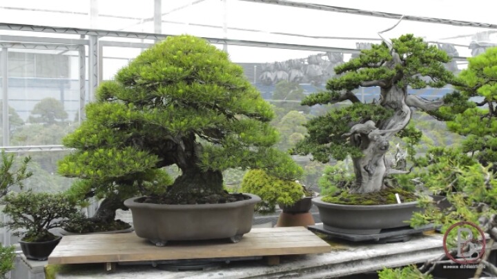 은근히 돈많이 나가는 고급 취미생활 | 인스티즈