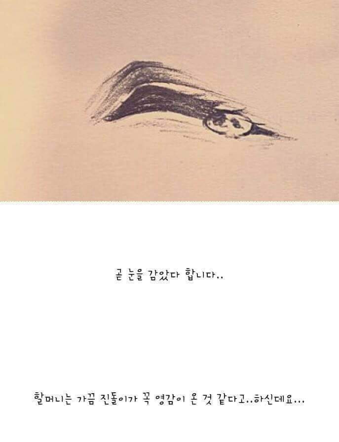 이 이야기는 실화입니다 | 인스티즈