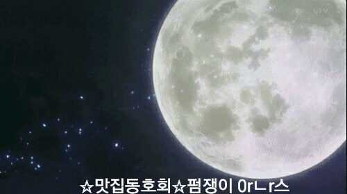 짧은 글로 마음을 울리는 상황별 공감 글귀 모음 25 BGM | 인스티즈