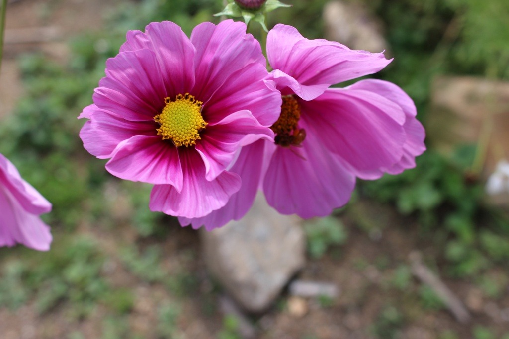 231C2F425263C3FC26B165