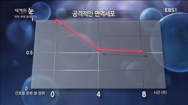 다큐 세계의 눈 - 의학 혁명 알레르기 | 인스티즈
