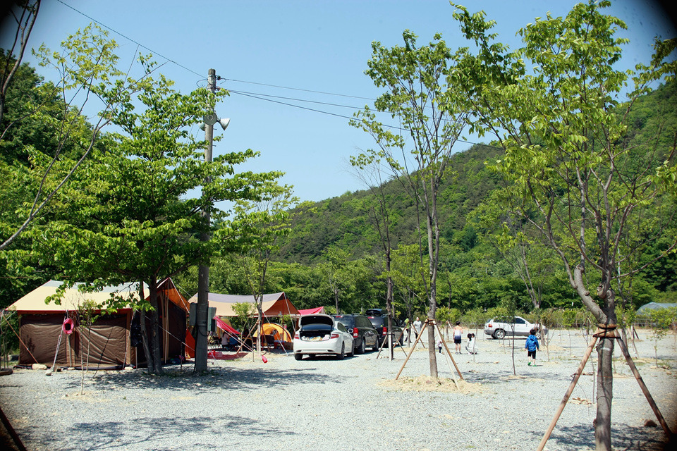 숲이조아 캠핑장 이미지