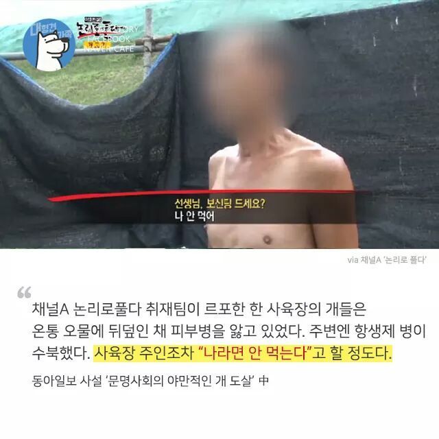 개고기를 먹지말아야 하는 설득력있는 이유 | 인스티즈