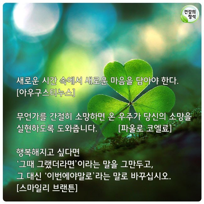 아우구스 이미지