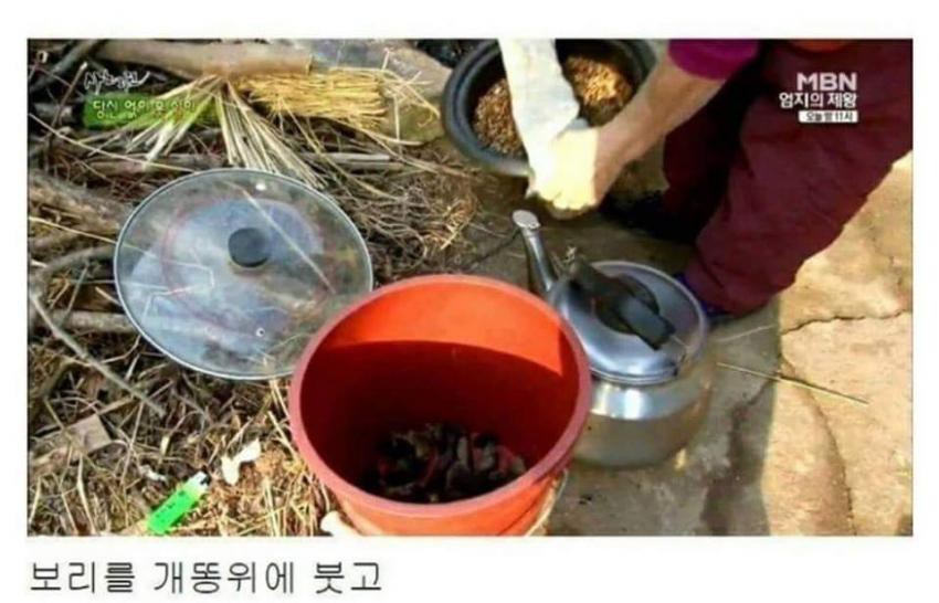 충격과 공포의 민간요법 | 인스티즈