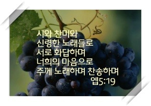 T&B 이미지