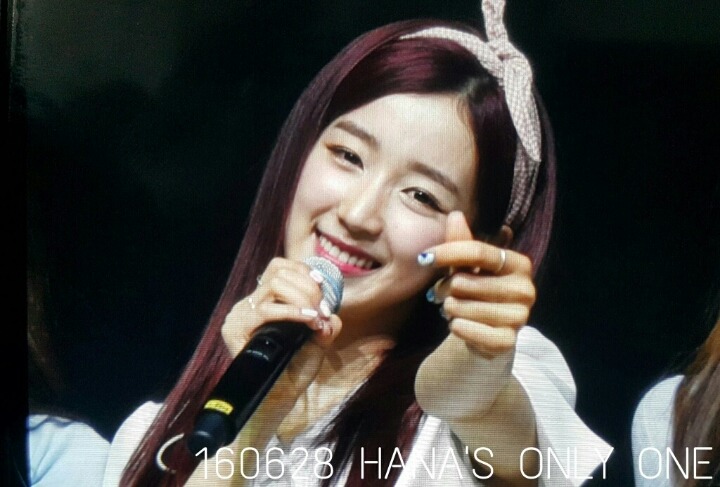콩닭콩닭 이미지
