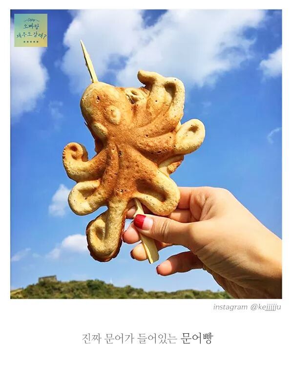 제주도 디저트 | 인스티즈