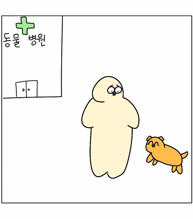 강아지가 우리 곁을 떠날 때 | 인스티즈