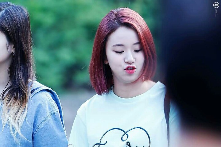 정말 귀여운 트와이스 채여이.jpgif | 인스티즈