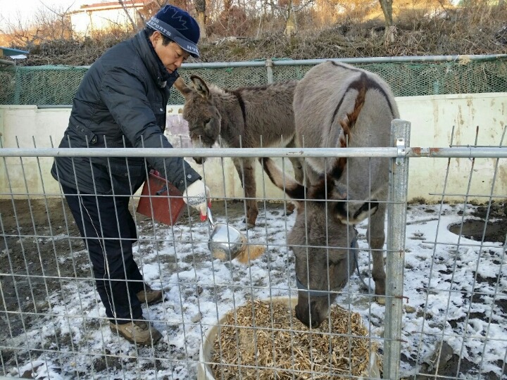 귀여농장 이미지