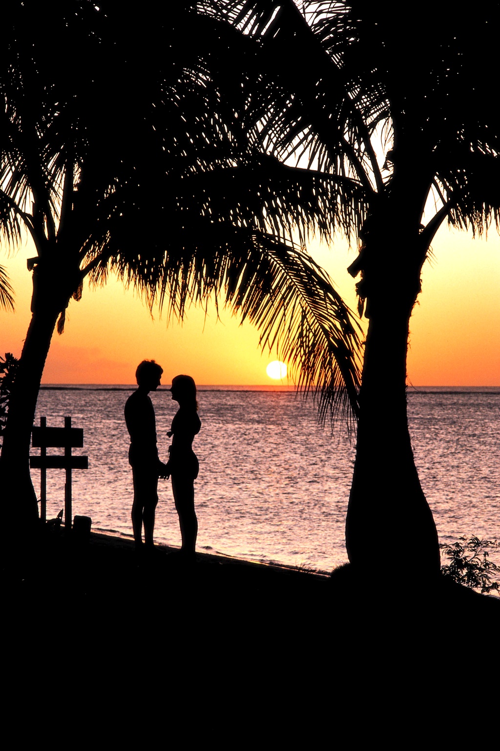 236024445496BA6B2B754A