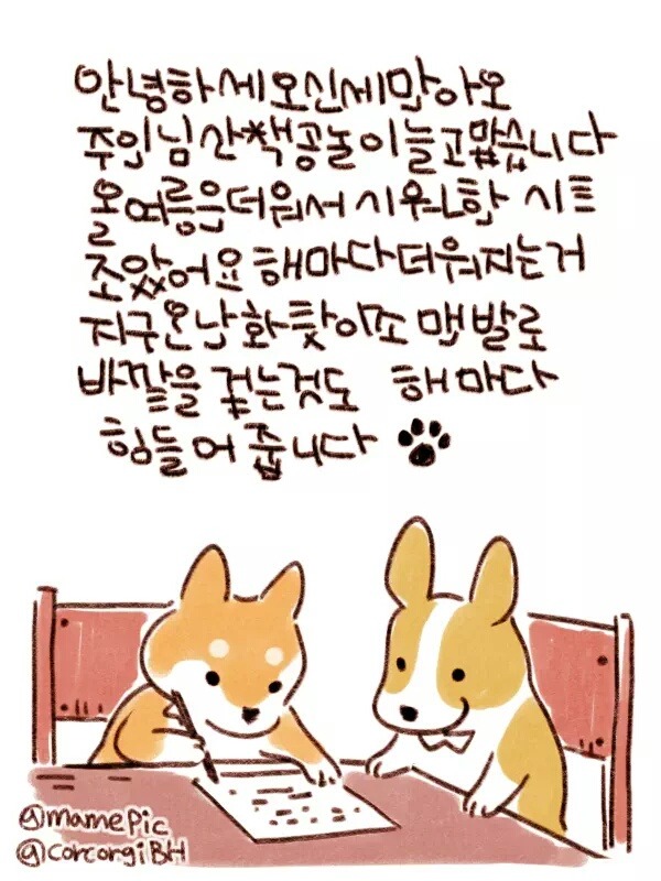 개와 고양이가 주인에게 편지를 쓸수있다면? [ft.사ㅠㅠㅠㅠㅠㅠㅠㅠ] | 인스티즈