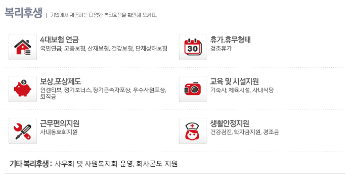 로체시스템즈(주)() 이미지
