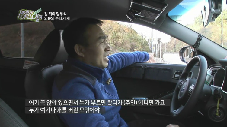 [세상에이런일이] 도로위에 망부석이 되서 주인을 기다리는 강아지.jpg | 인스티즈