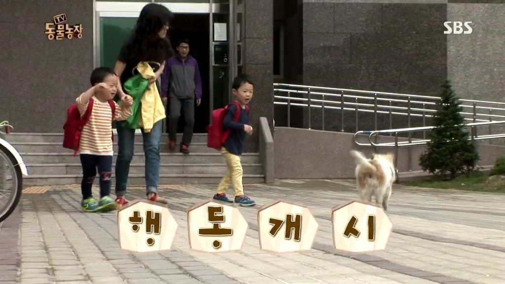 [동물농장] 106동 주민들이 키우는 강아지 | 인스티즈
