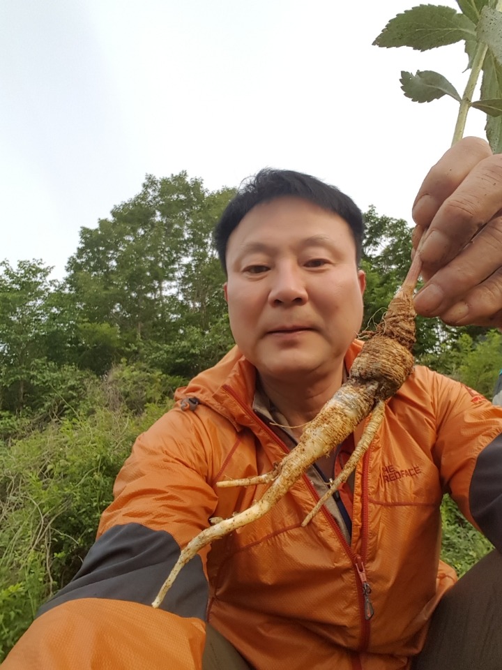 겸하다 이미지